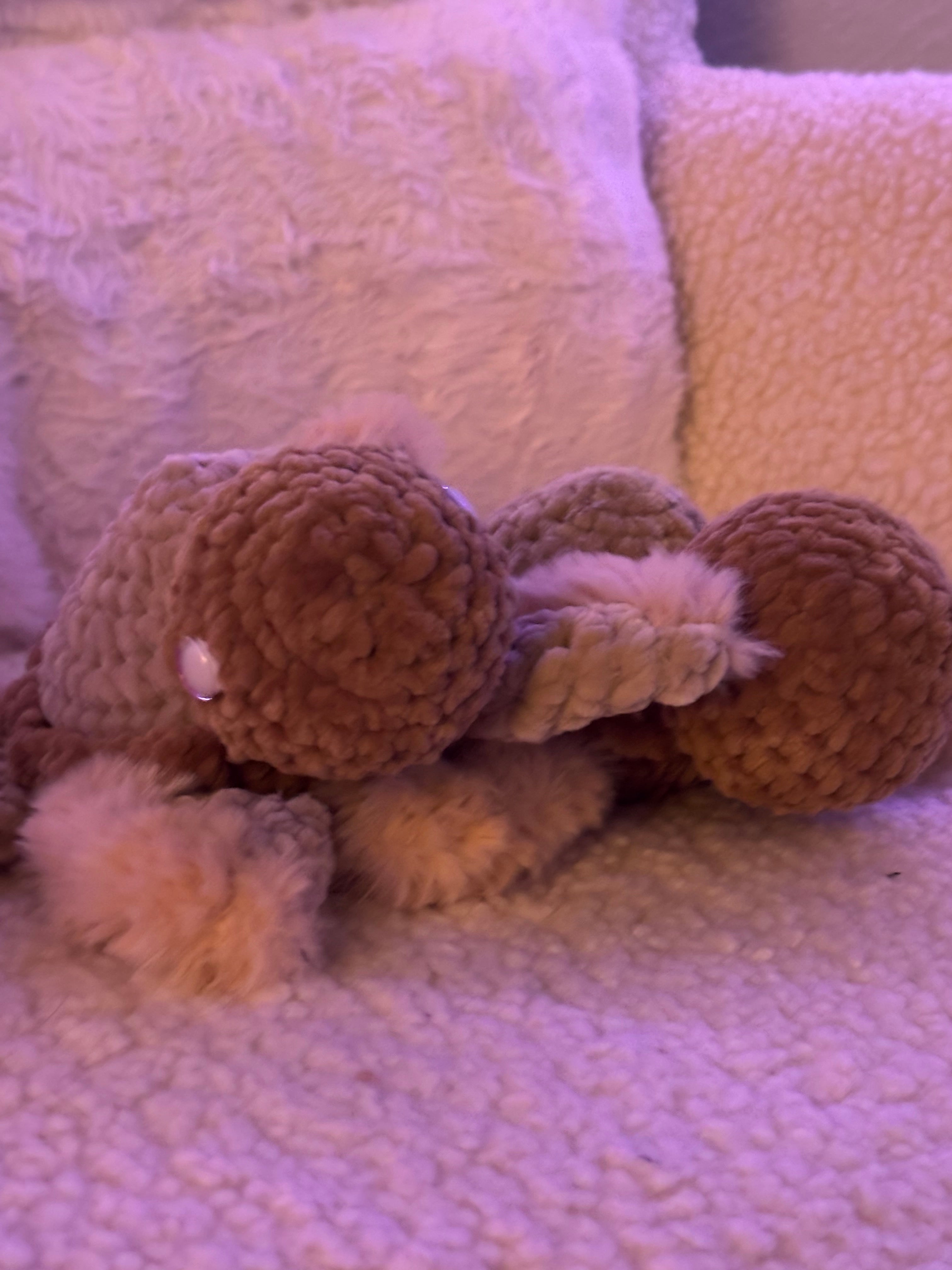 Babyschildkröte mit Furry Wolle