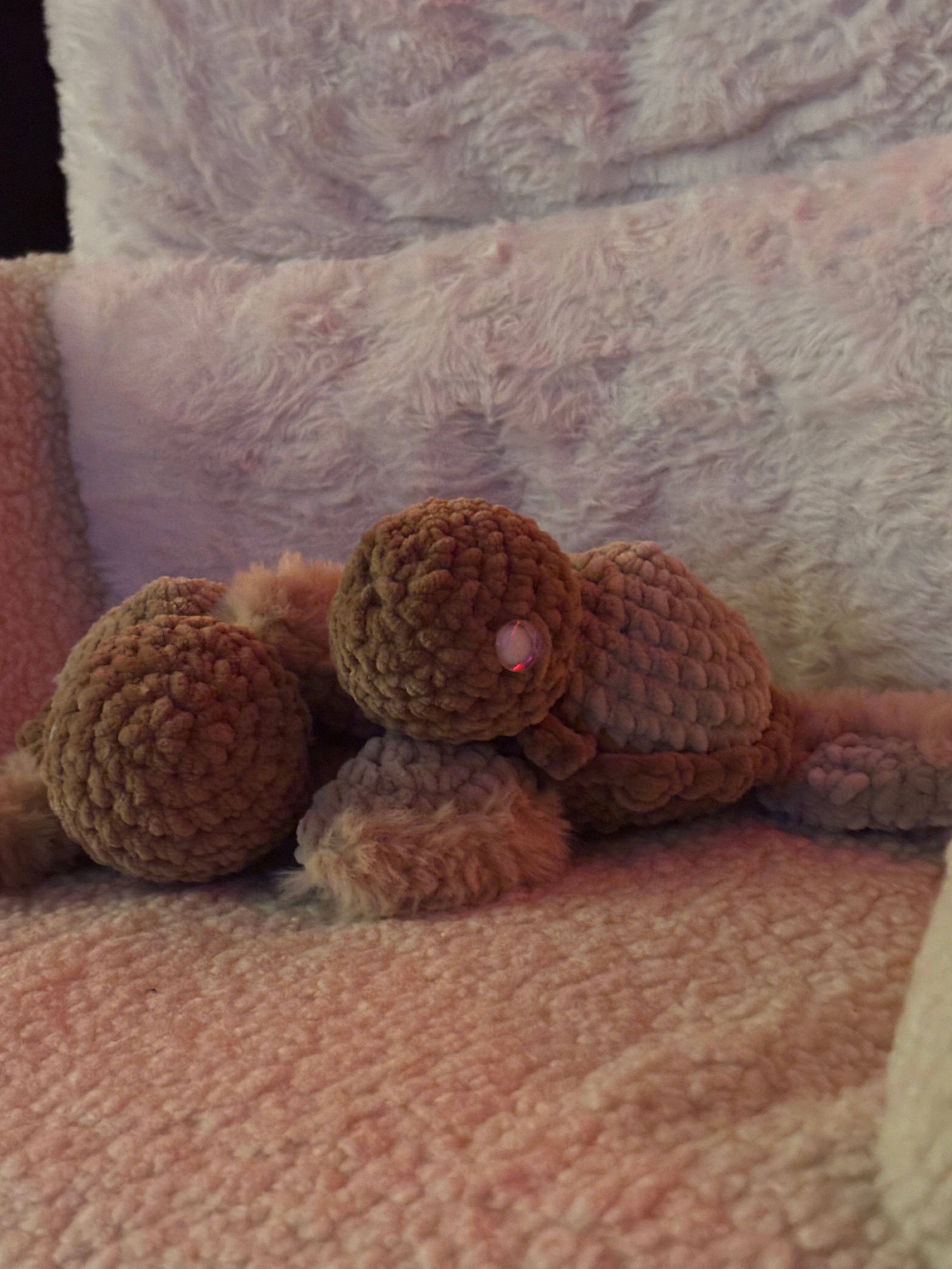 Babyschildkröte mit Furry Wolle