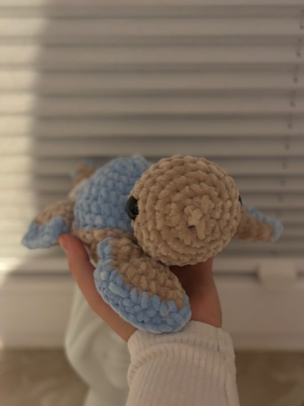 Baby Schildkröte in Wunschfarbe