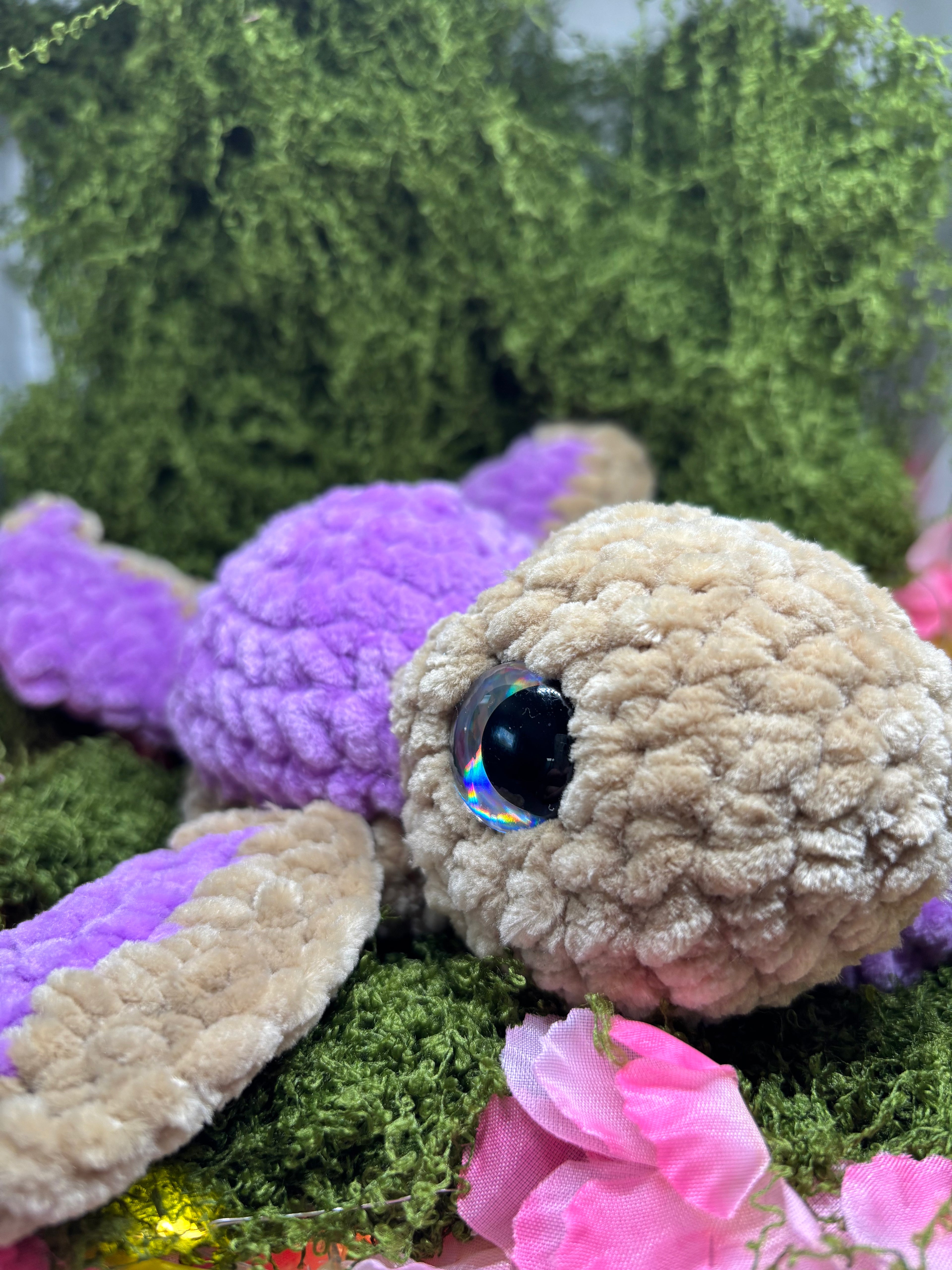 Baby Schildkröte in Wunschfarbe