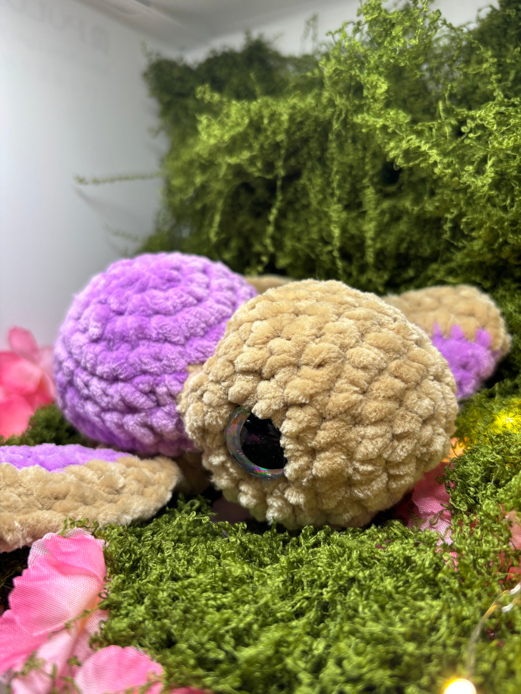 Baby Schildkröte in Wunschfarbe