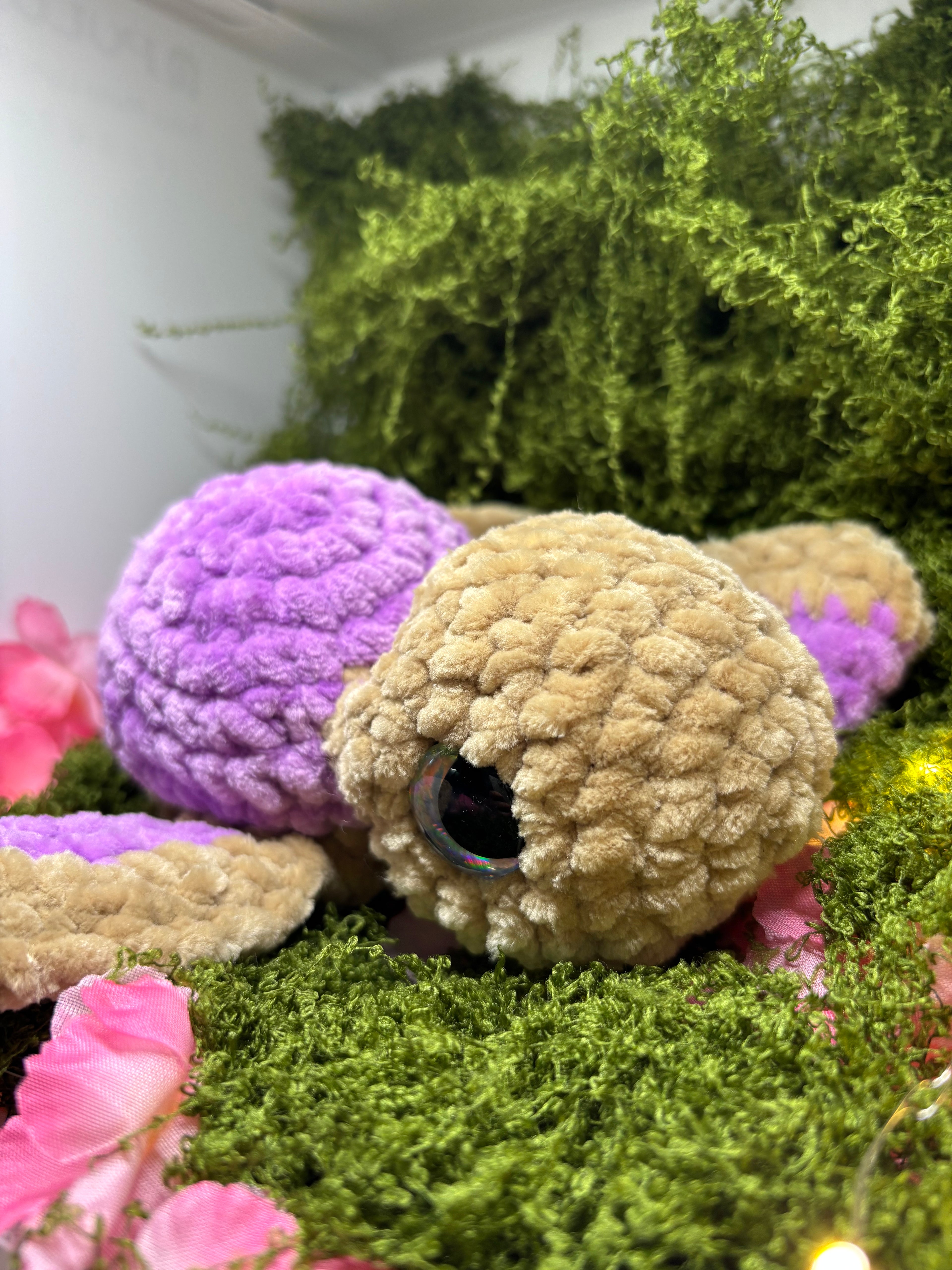 Baby Schildkröte in Wunschfarbe