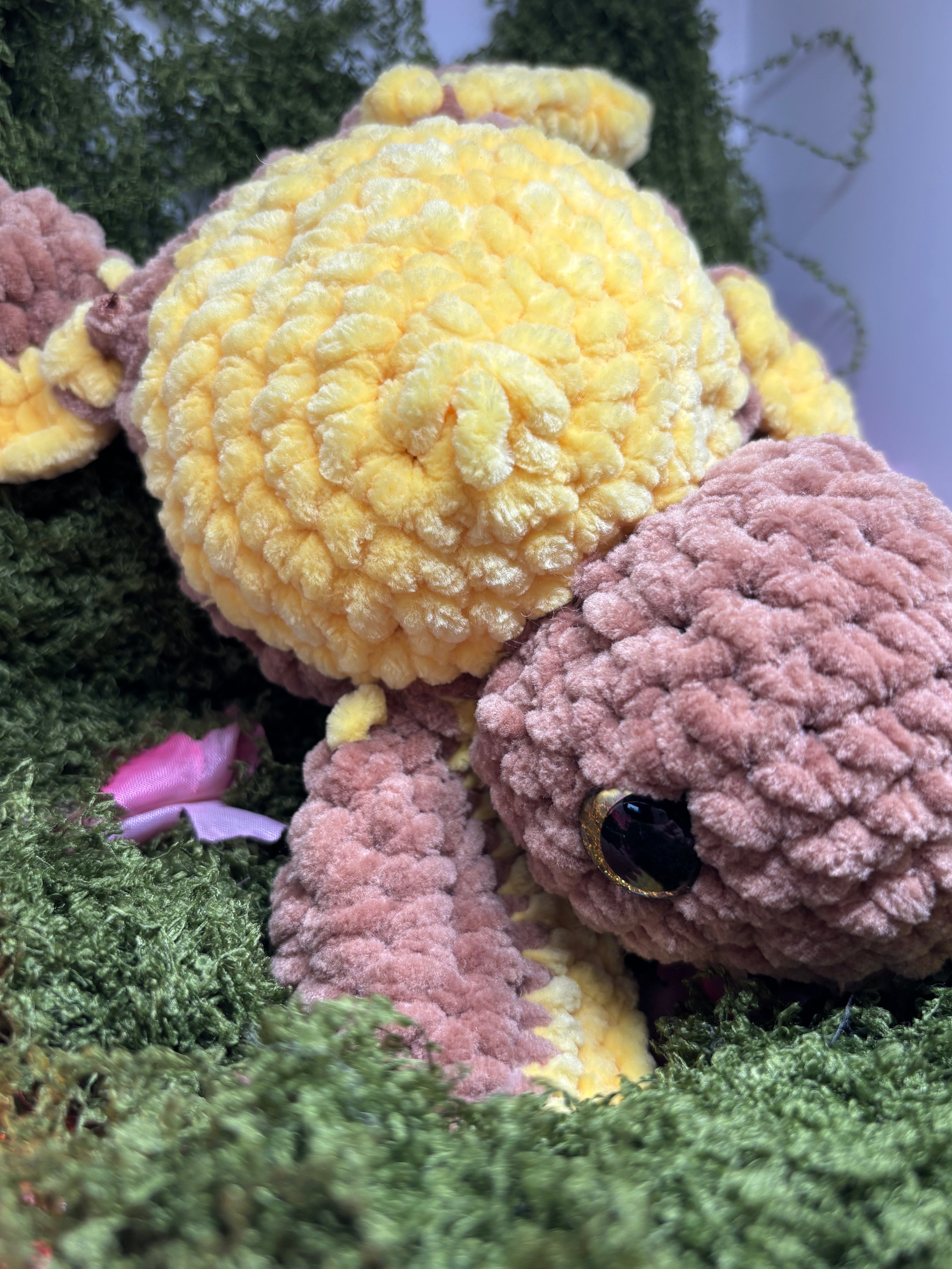 Baby Schildkröte in Wunschfarbe