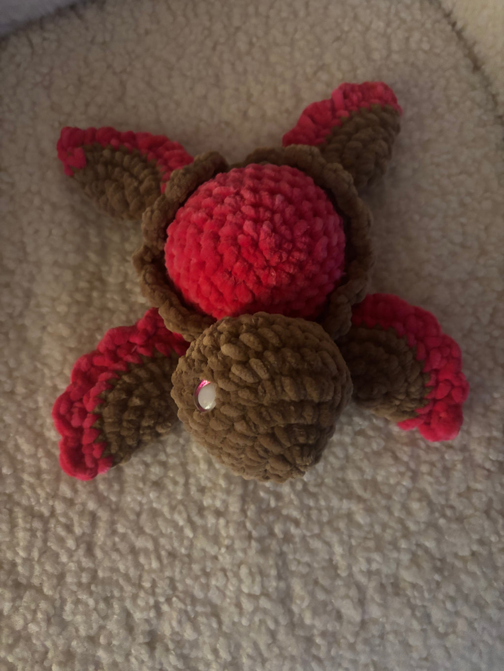 Baby Schildkröte in Wunschfarbe