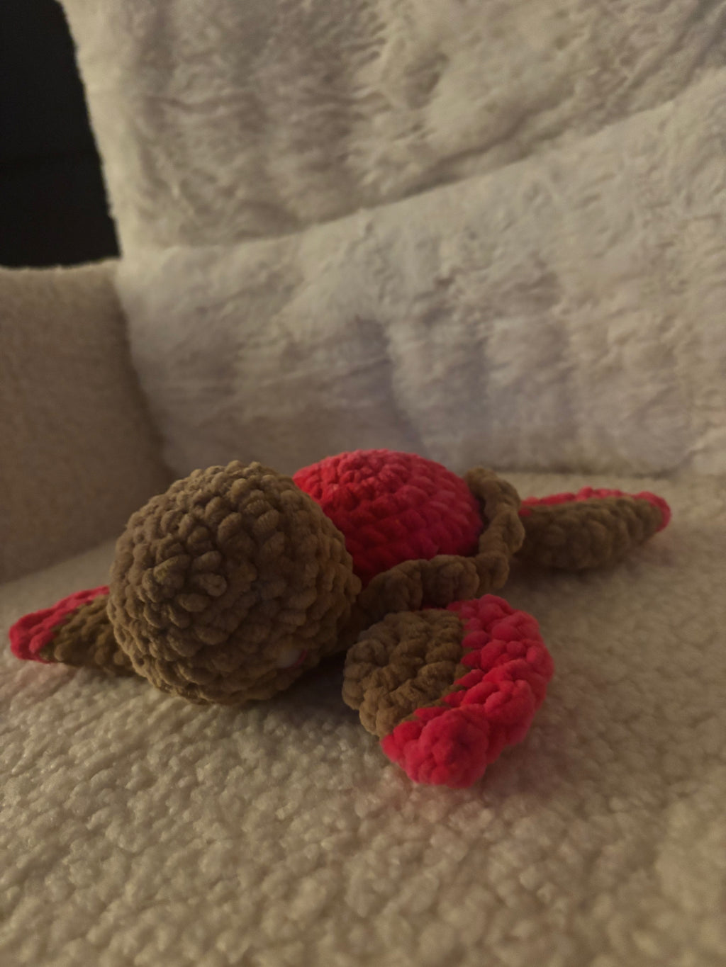 Baby Schildkröte in Wunschfarbe